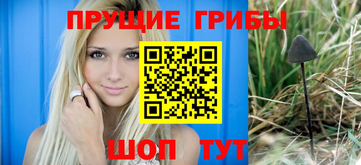 Галлюциногенные грибы GOLDEN TEACHER Котельники